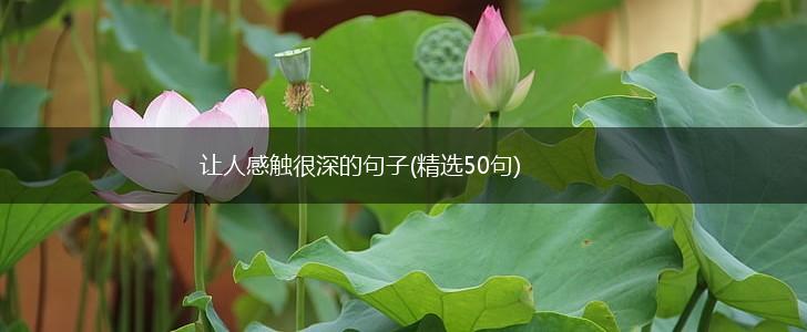 让人感触很深的句子(精选50句),第1张