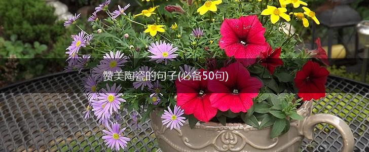 赞美陶瓷的句子(必备50句),第1张