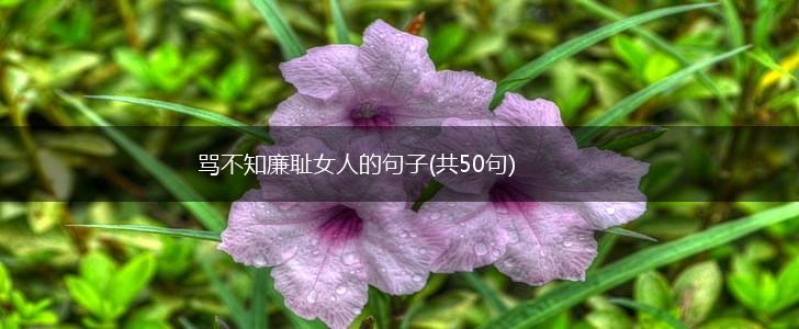 骂不知廉耻女人的句子(共50句),第1张