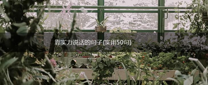 靠实力说话的句子(实用50句),第1张