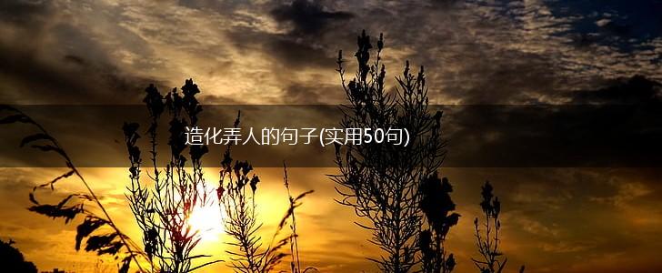 造化弄人的句子(实用50句),第1张