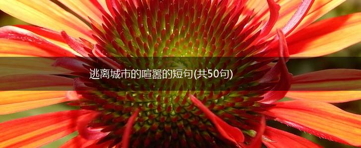 逃离城市的喧嚣的短句(共50句),第1张