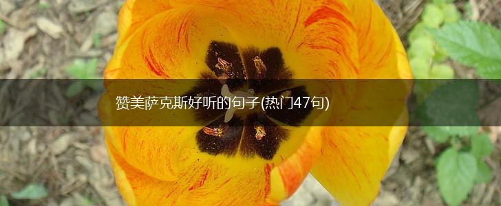 赞美萨克斯好听的句子(热门47句),第1张