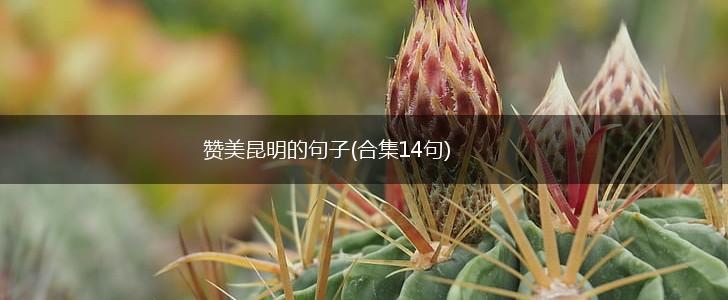 赞美昆明的句子(合集14句),第1张