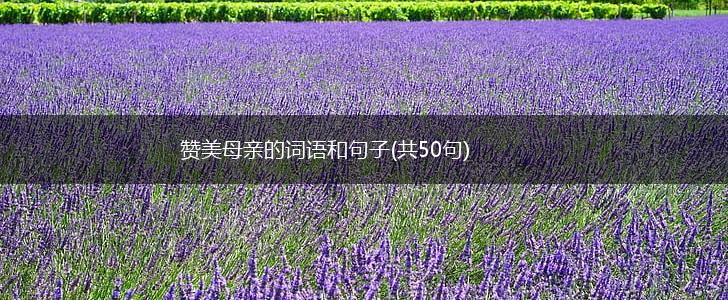 赞美母亲的词语和句子(共50句),第1张