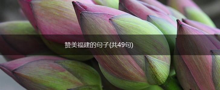 赞美福建的句子(共49句),第1张