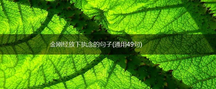 金刚经放下执念的句子(通用49句),第1张