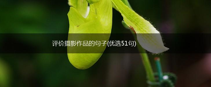 评价摄影作品的句子(优选51句),第1张