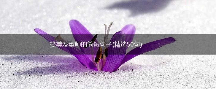赞美发型师的简短句子(精选50句),第1张