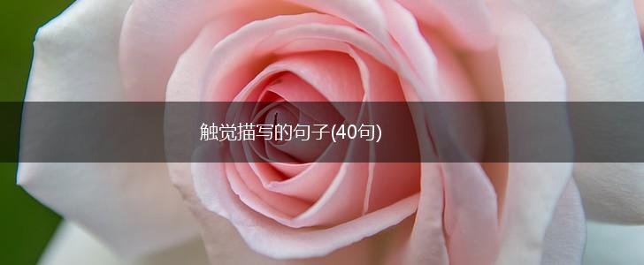 触觉描写的句子(40句),第1张