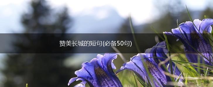 赞美长城的短句(必备50句),第1张