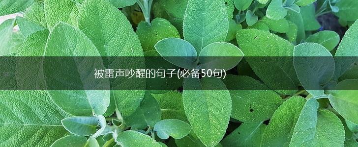 被雷声吵醒的句子(必备50句),第1张 被雷声吵醒的句子(必备50句),第1张