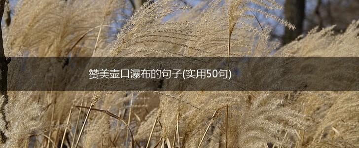 赞美壶口瀑布的句子(实用50句),第1张