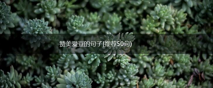 赞美爱豆的句子(推荐50句),第1张