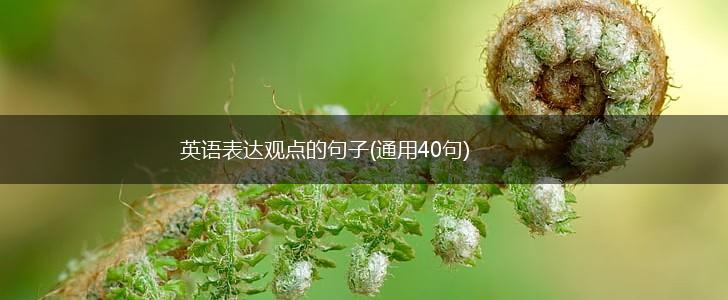 英语表达观点的句子(通用40句),第1张