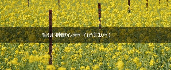 输钱的幽默心情句子(合集10句),第1张