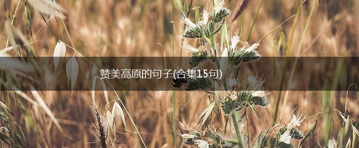 赞美高原的句子(合集15句),第1张