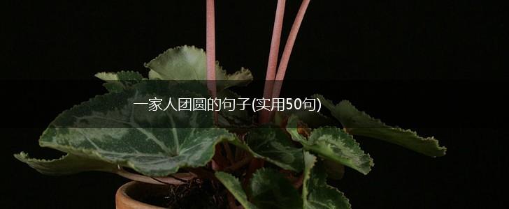 一家人团圆的句子(实用50句),第1张