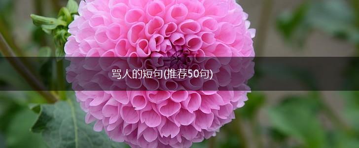 骂人的短句(推荐50句),第1张