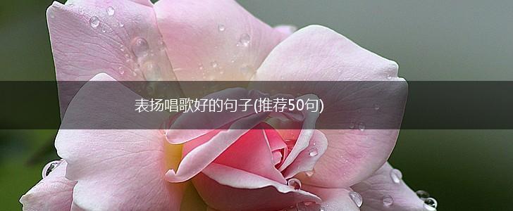 表扬唱歌好的句子(推荐50句),第1张