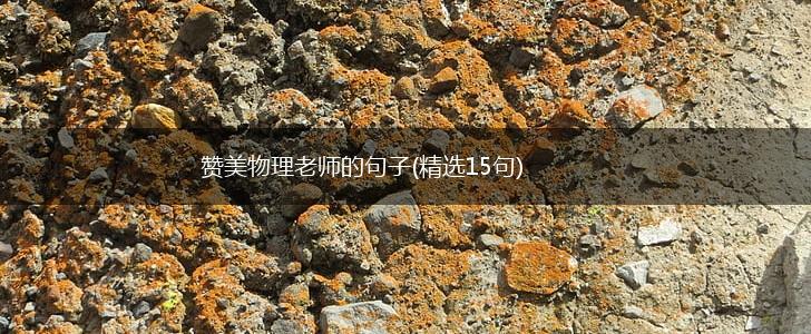 赞美物理老师的句子(精选15句),第1张
