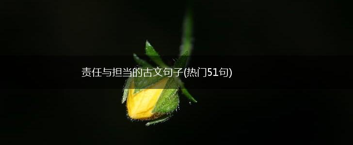 责任与担当的古文句子(热门51句),第1张