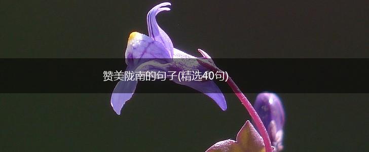 赞美陇南的句子(精选40句),第1张