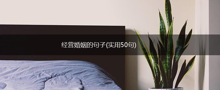 经营婚姻的句子(实用50句),第1张