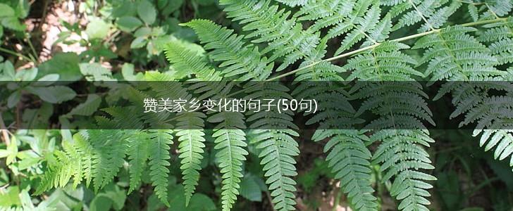 赞美家乡变化的句子(50句),第1张
