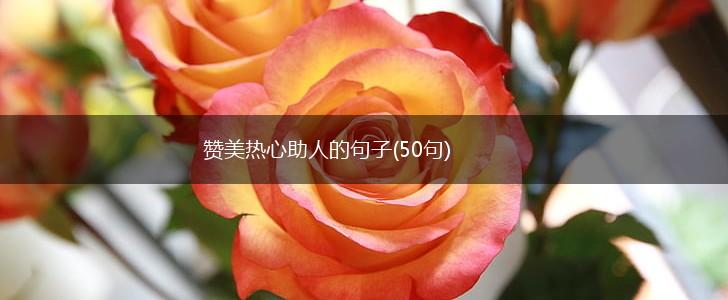 赞美热心助人的句子(50句),第1张 赞美热心助人的句子(50句),第1张