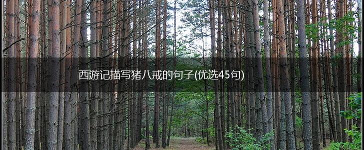 西游记描写猪八戒的句子(优选45句),第1张