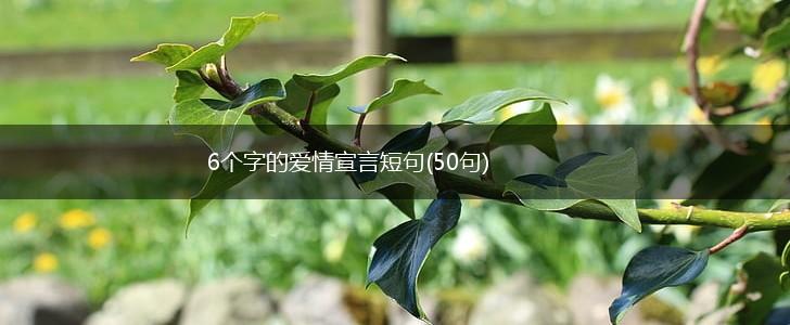 6个字的爱情宣言短句(50句),第1张