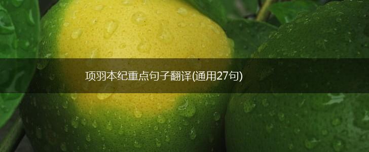 项羽本纪重点句子翻译(通用27句),第1张