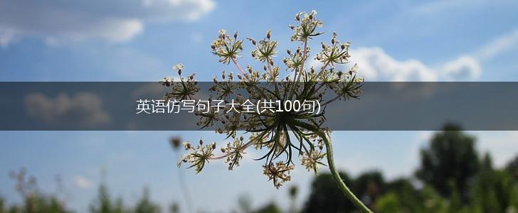 英语仿写句子大全(共100句),第1张