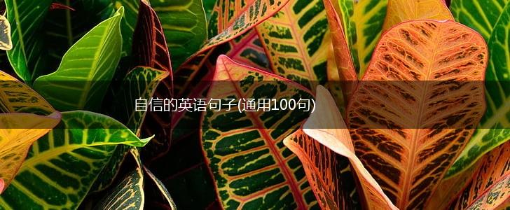 自信的英语句子(通用100句),第1张
