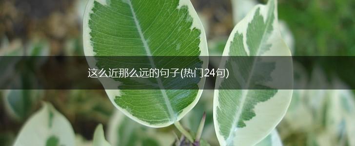 这么近那么远的句子(热门24句),第1张