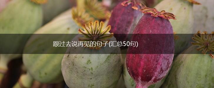 跟过去说再见的句子(汇总50句),第1张
