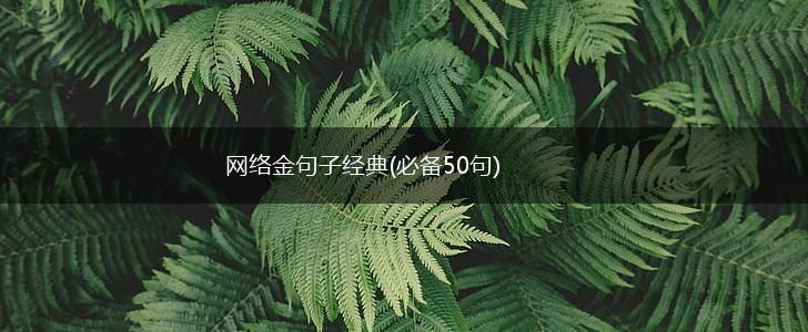 网络金句子经典(必备50句),第1张