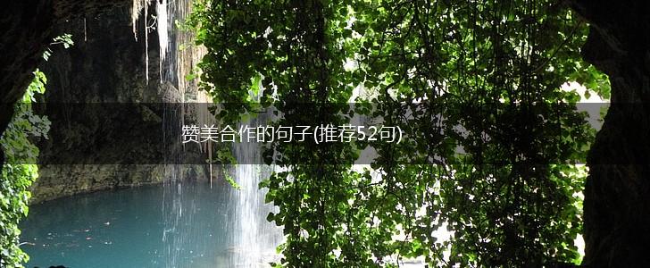 赞美合作的句子(推荐52句),第1张