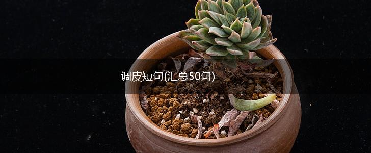 调皮短句(汇总50句),第1张