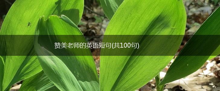 赞美老师的英语短句(共100句),第1张