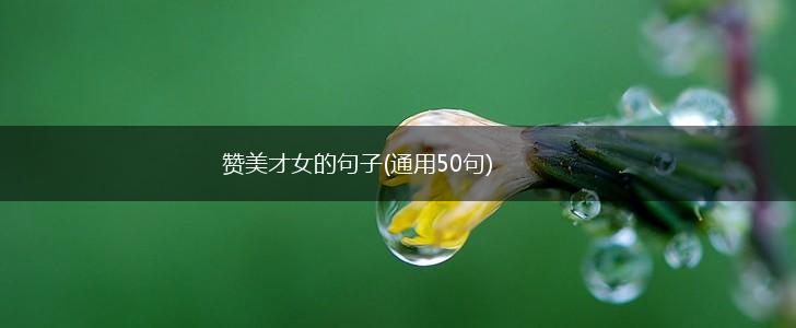 赞美才女的句子(通用50句),第1张