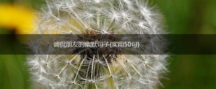 调侃朋友的幽默句子(实用50句),第1张