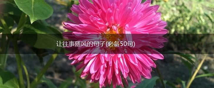 让往事随风的句子(必备50句),第1张