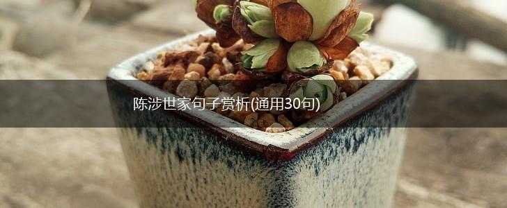 陈涉世家句子赏析(通用30句),第1张