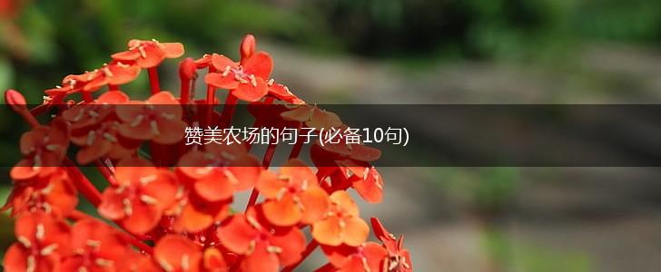 赞美农场的句子(必备10句),第1张