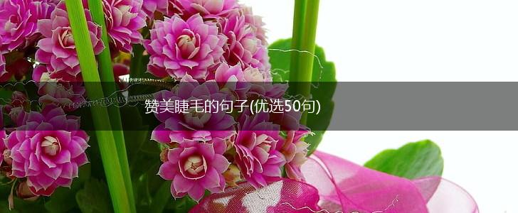 赞美睫毛的句子(优选50句),第1张