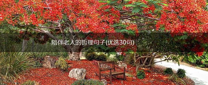陪伴老人的哲理句子(优选30句),第1张