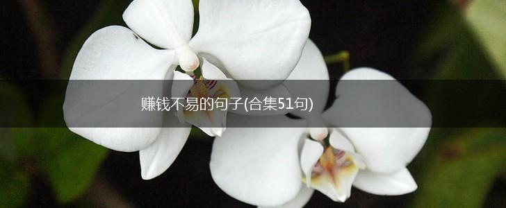 赚钱不易的句子(合集51句),第1张