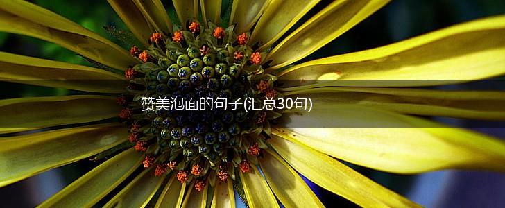 赞美泡面的句子(汇总30句),第1张